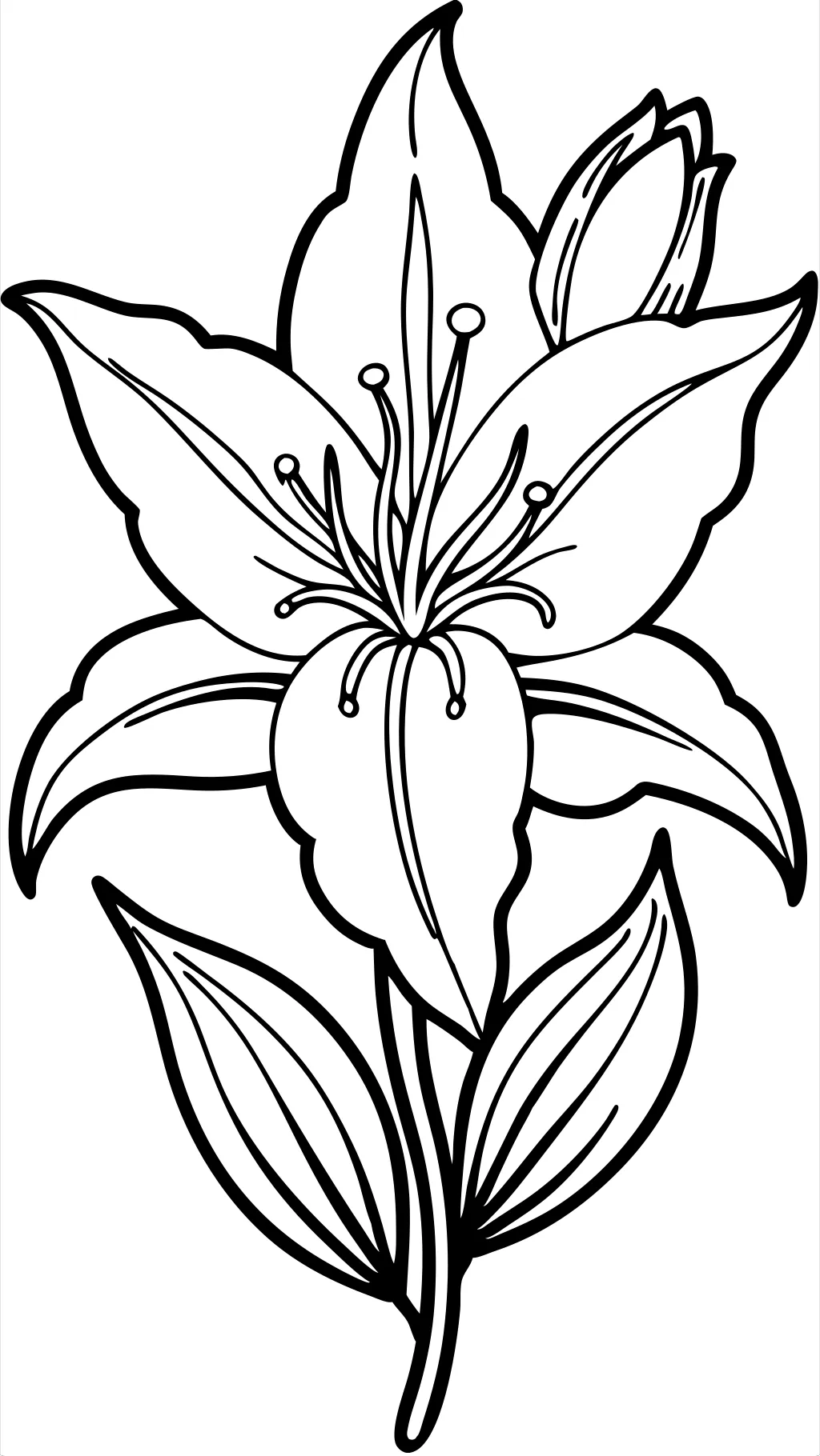 lily coloring page